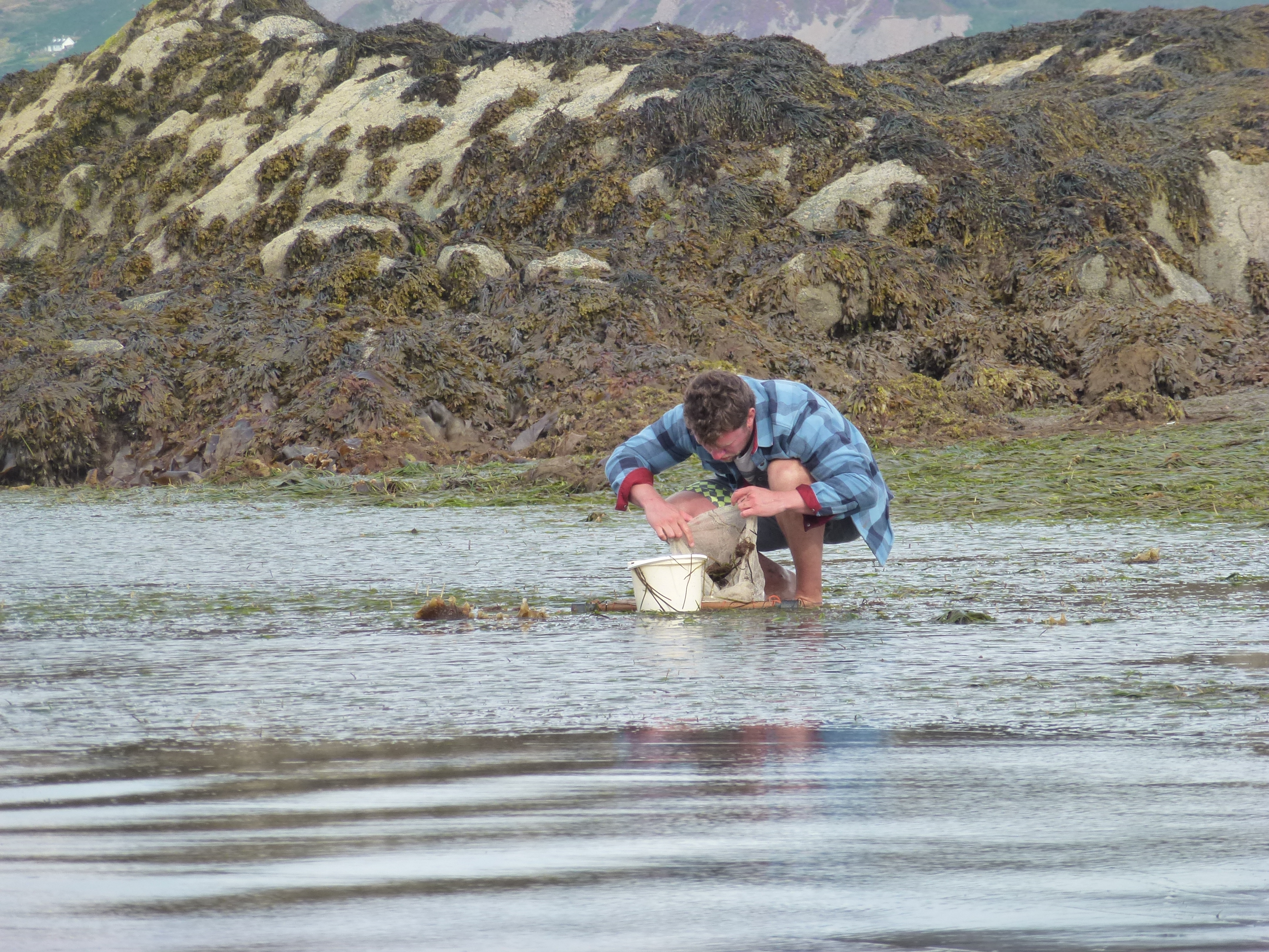 Fishing in UK seagrass